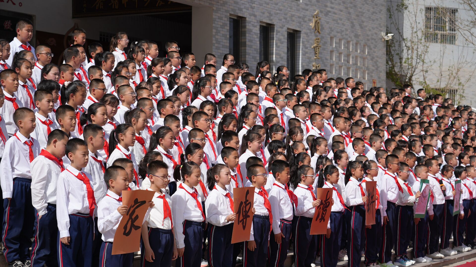 Image_1775271554984_886