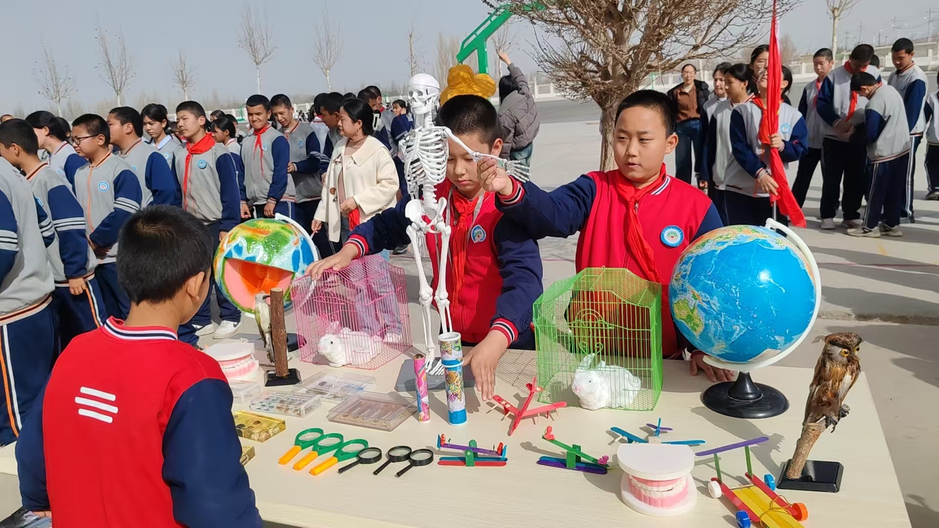 mmexport1773990691561