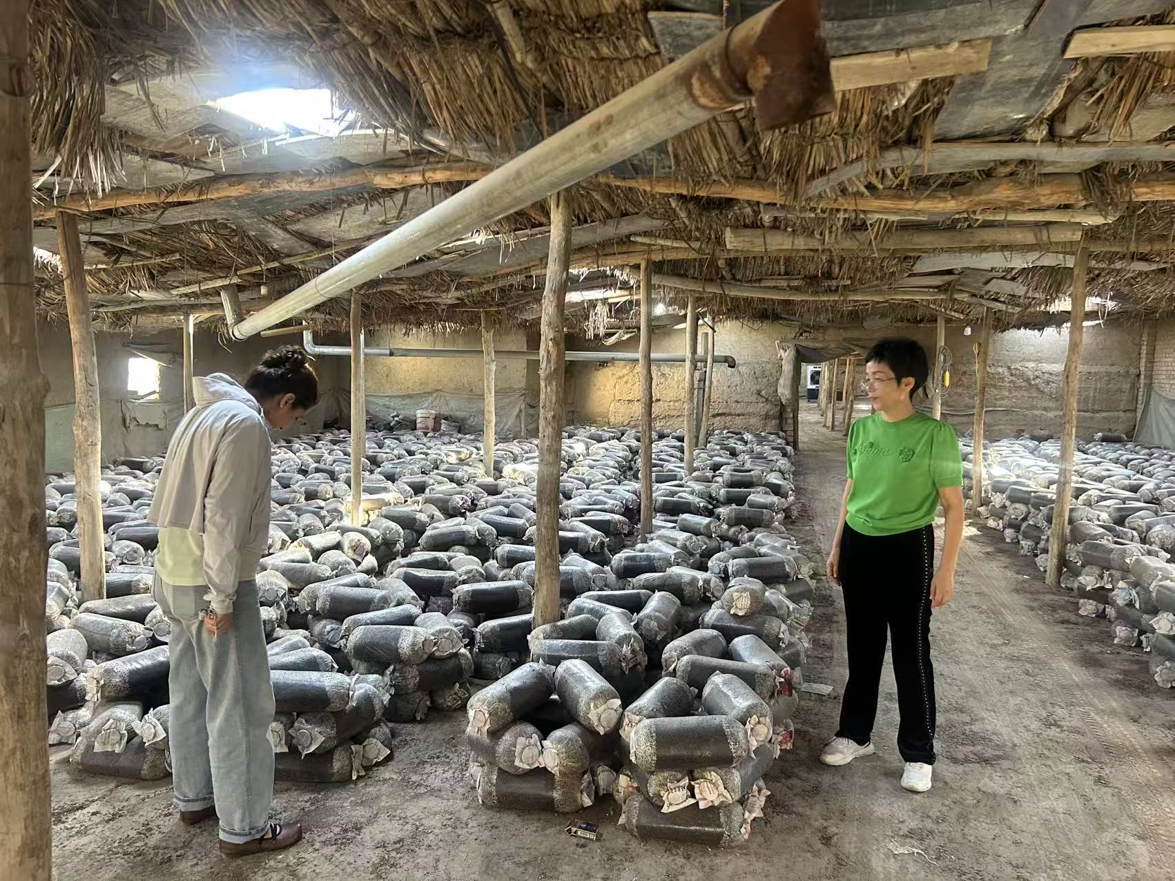 mmexport1772962447854