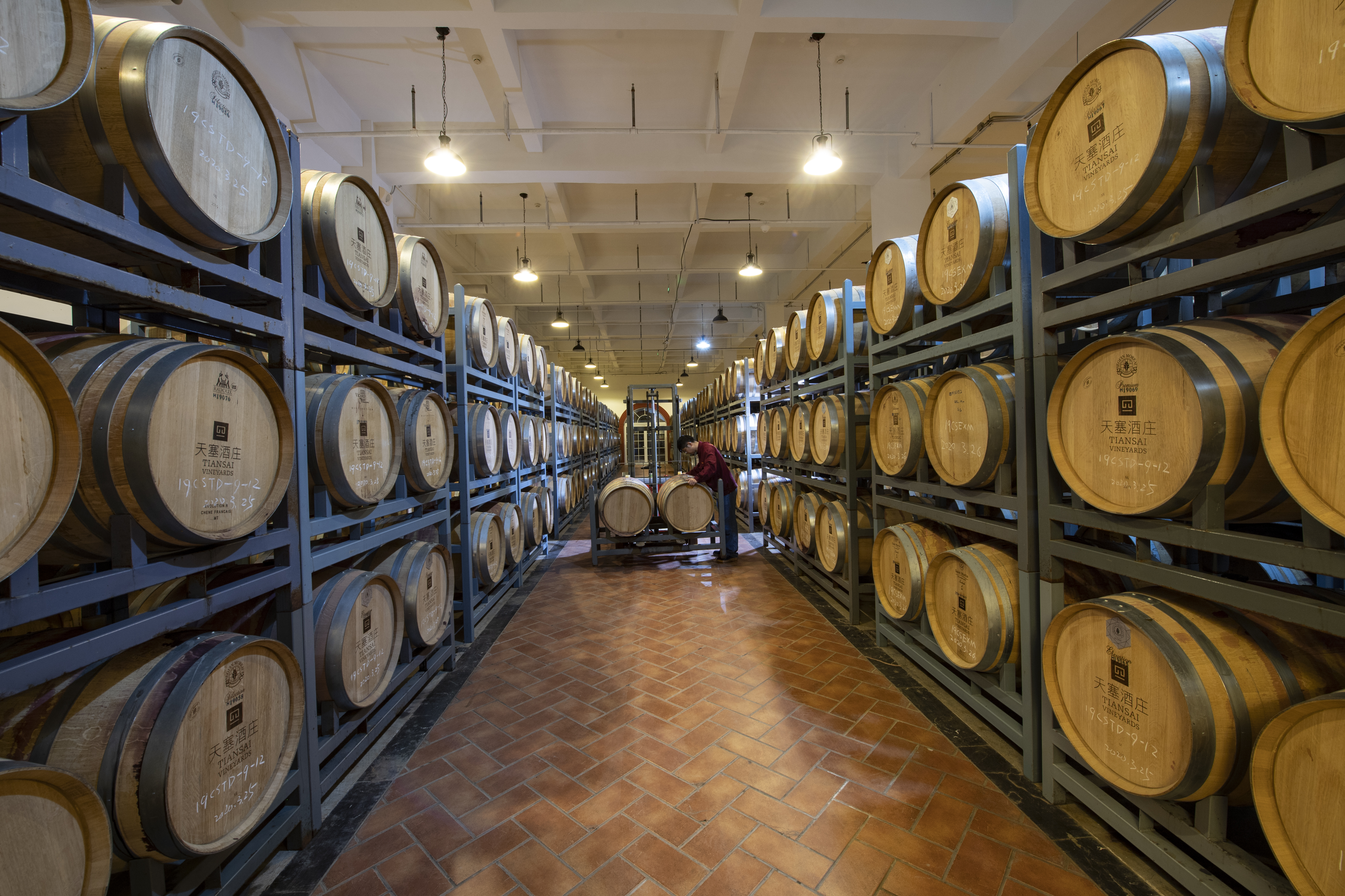 mmexport1776066590857