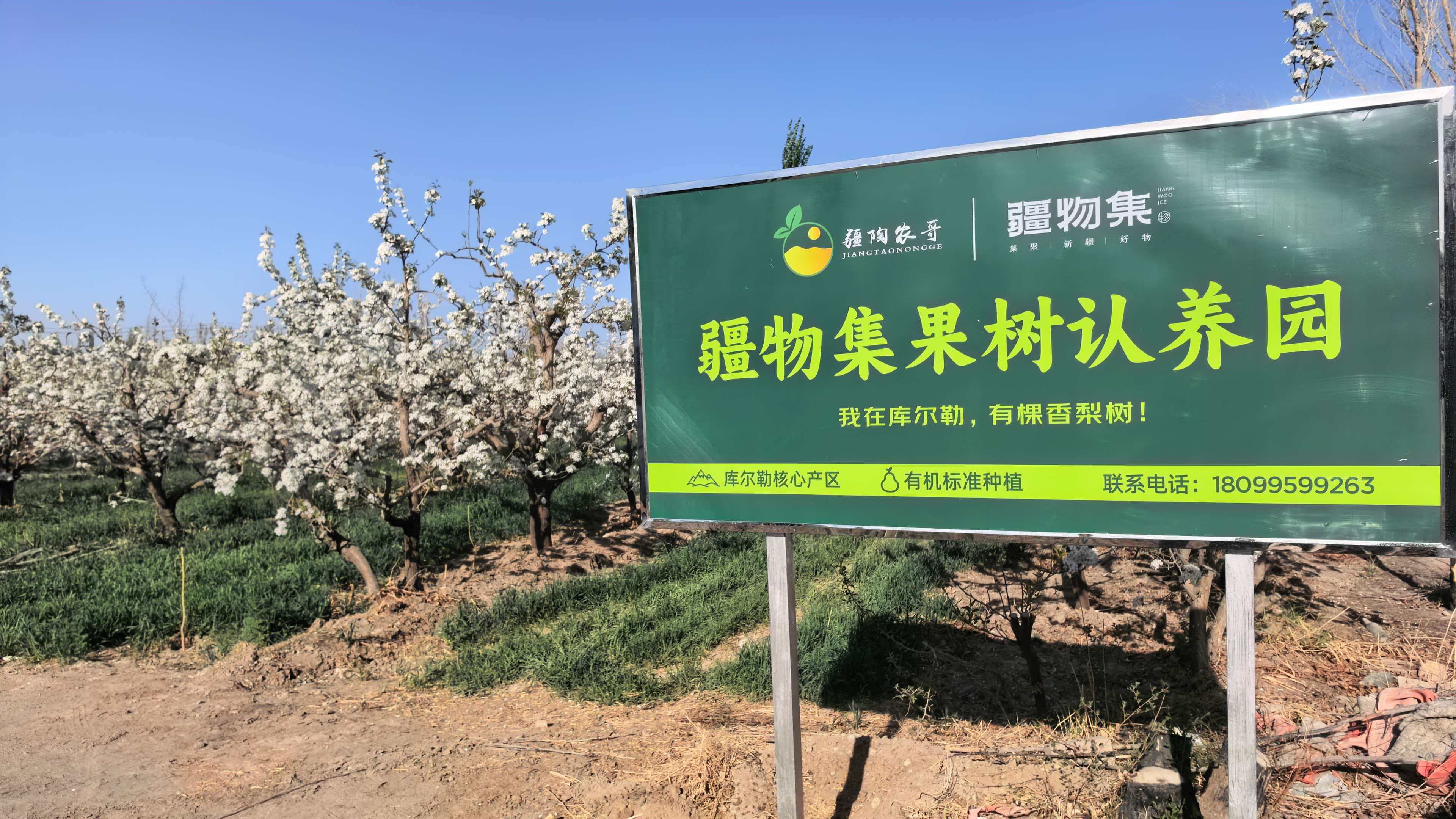 mmexport1776075781934