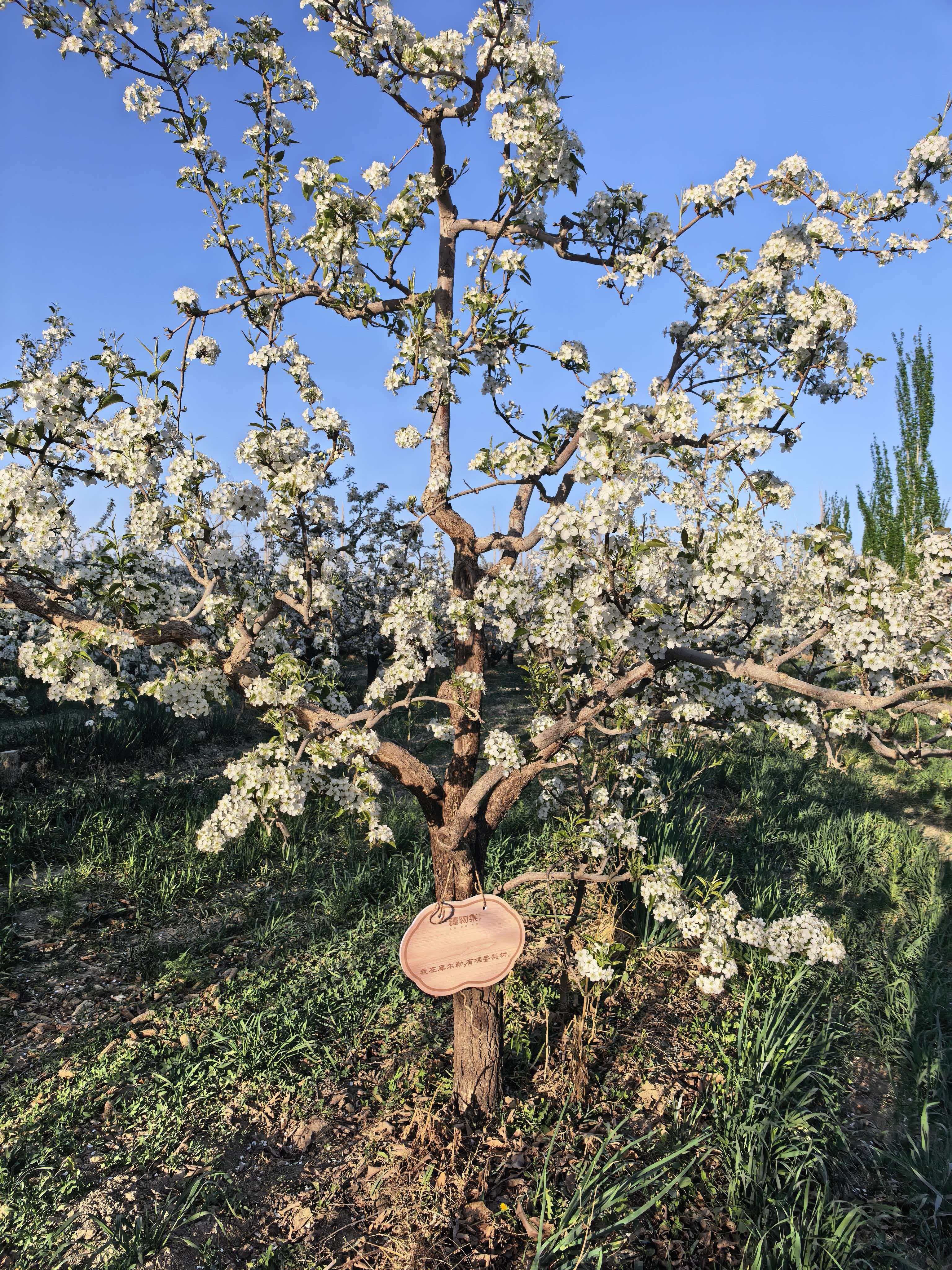 mmexport1776075772929