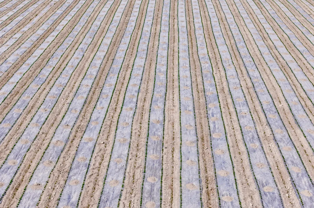 mmexport1776426839381