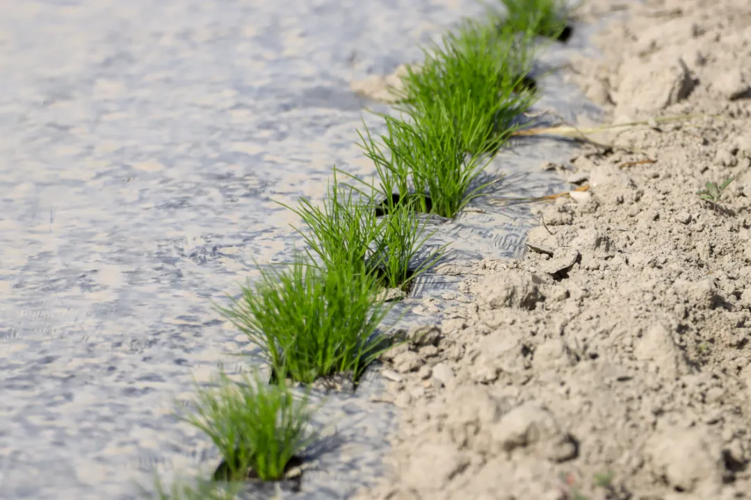 mmexport1776426830008