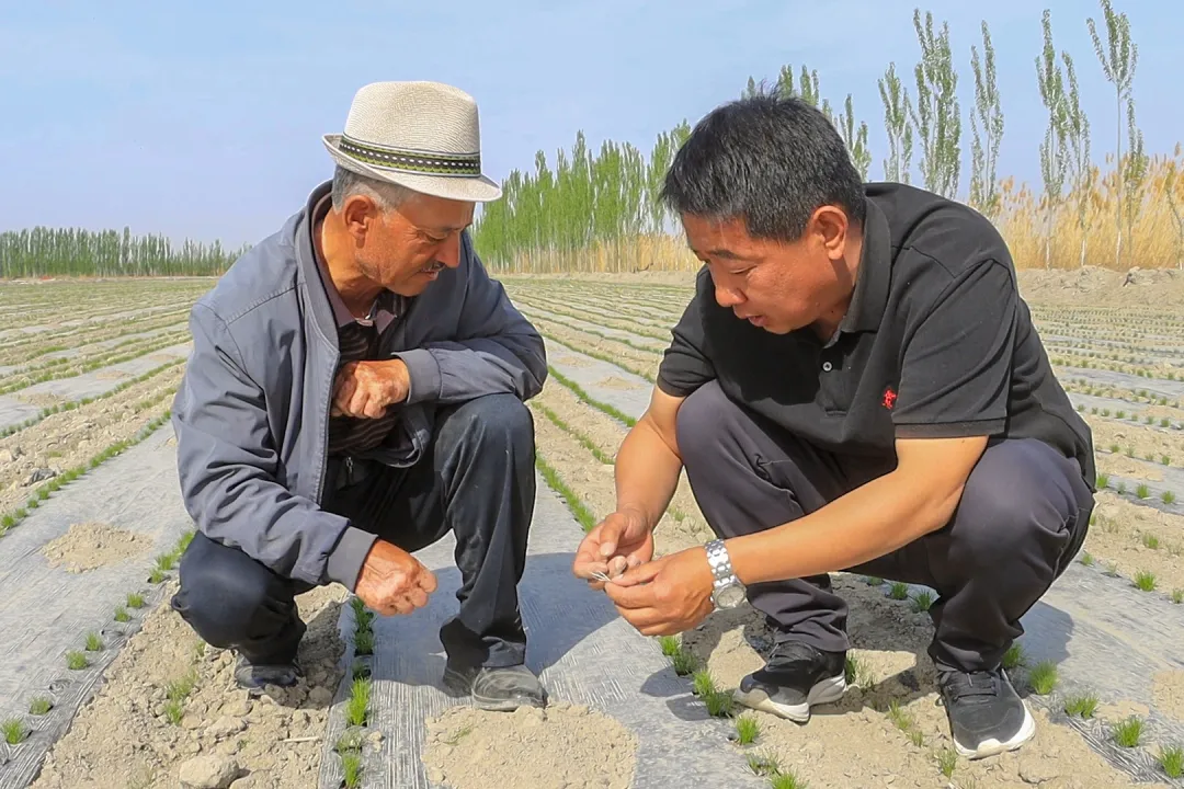 mmexport1776426834619