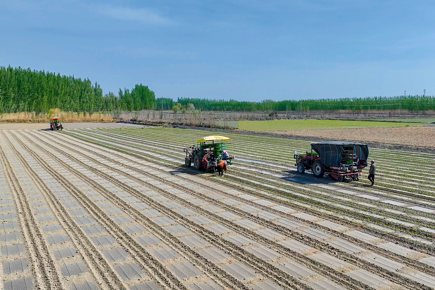 mmexport1776426799753