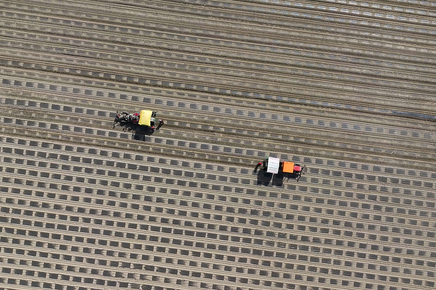 mmexport1776426814563