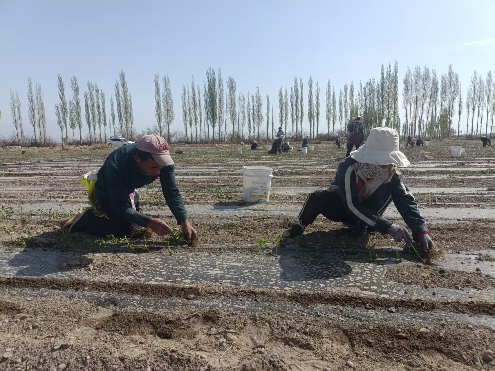 mmexport1776077255528