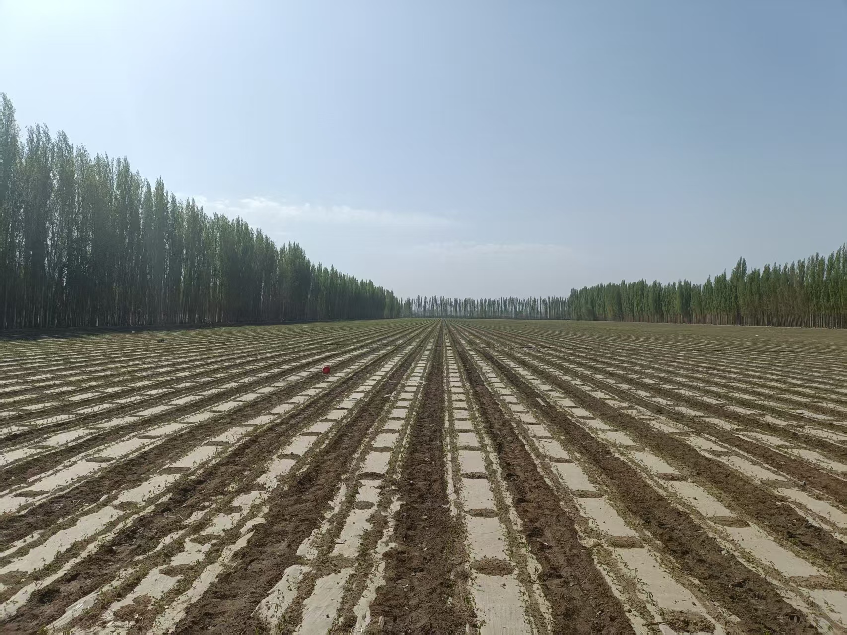 mmexport1776077250467