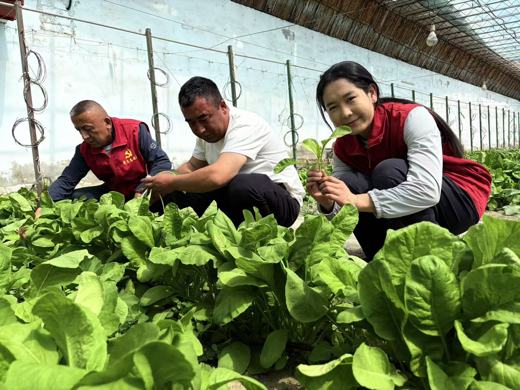 mmexport1776426289512