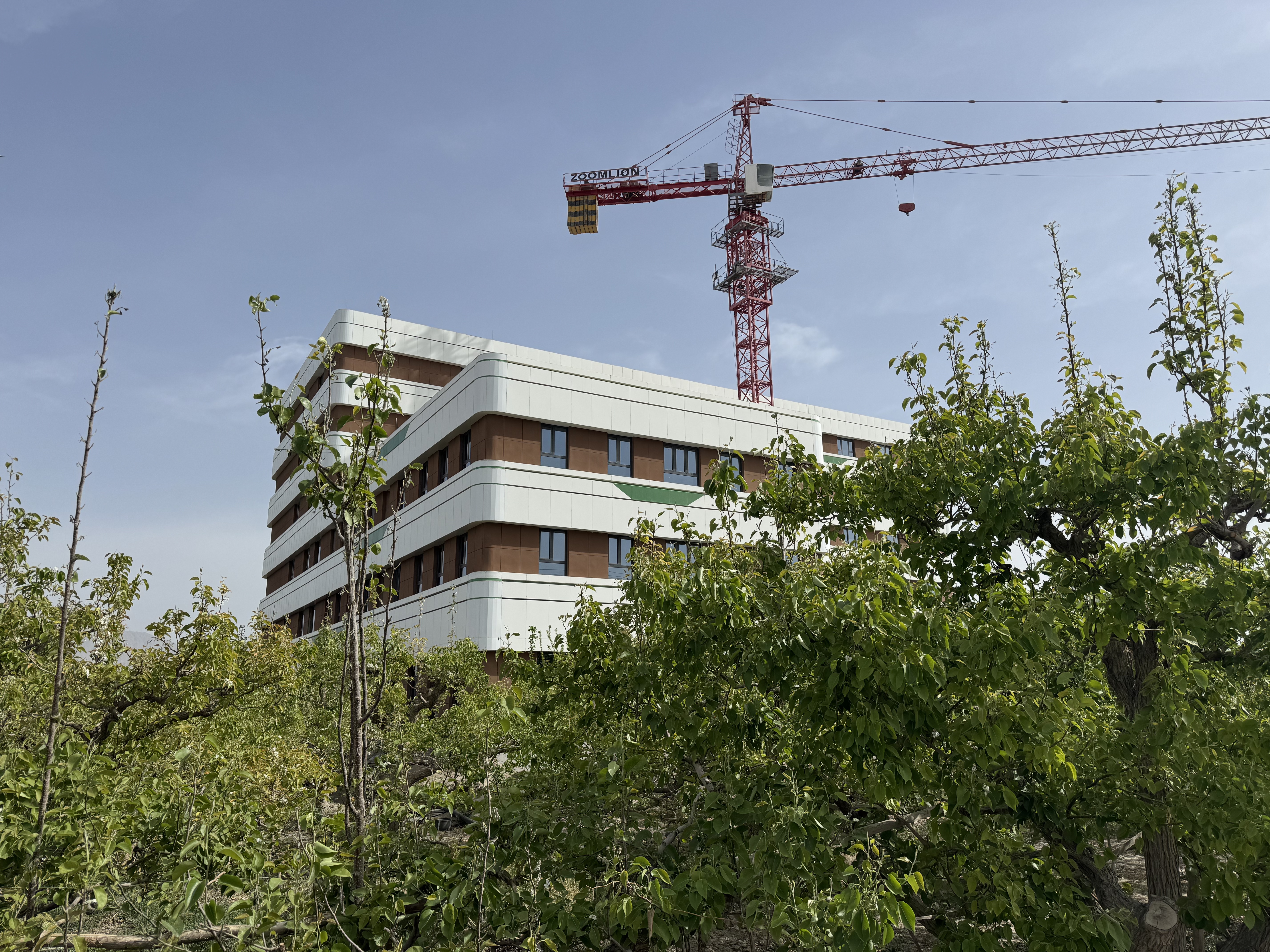 mmexport1776485754730