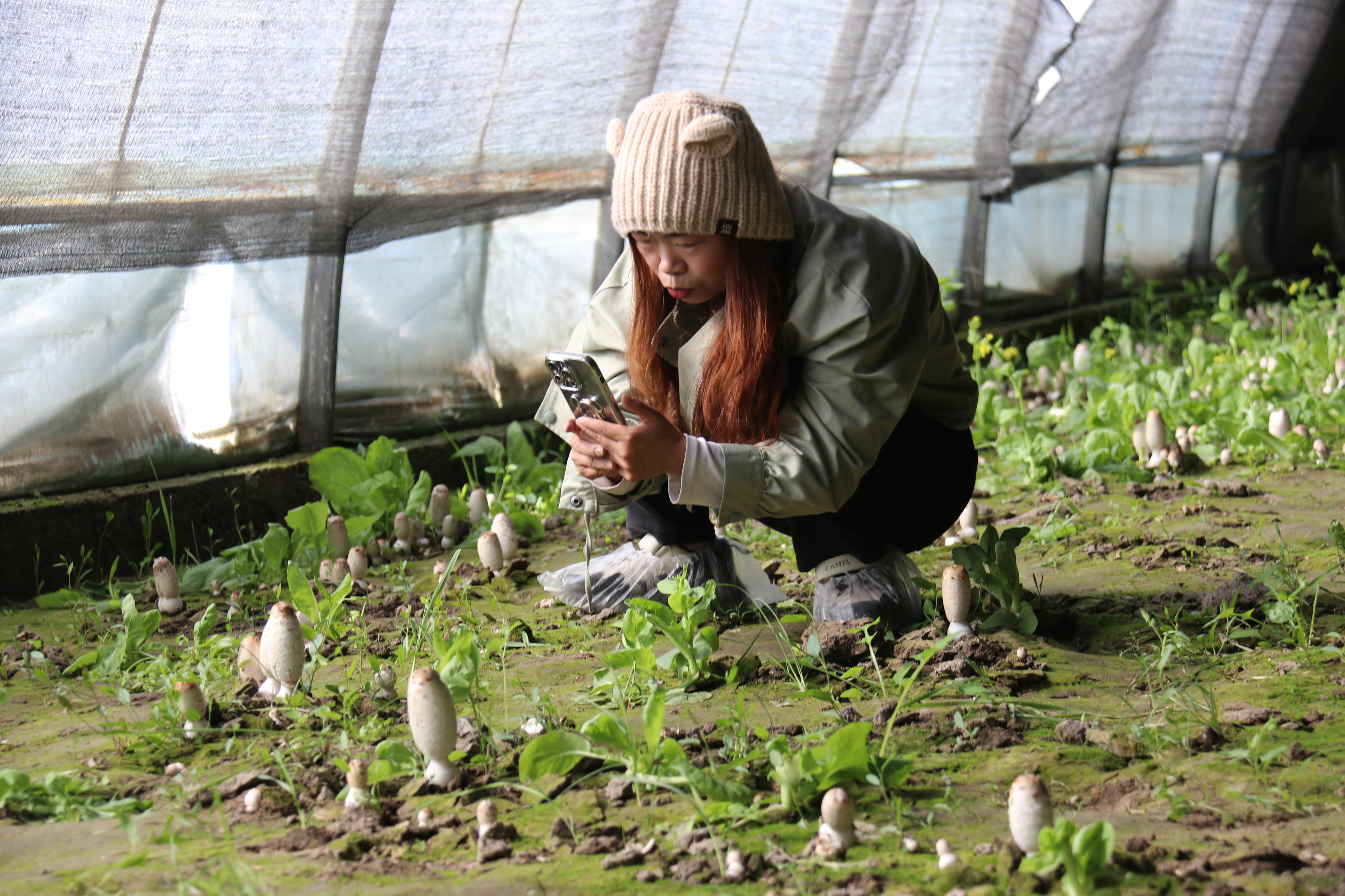 mmexport1776677926014