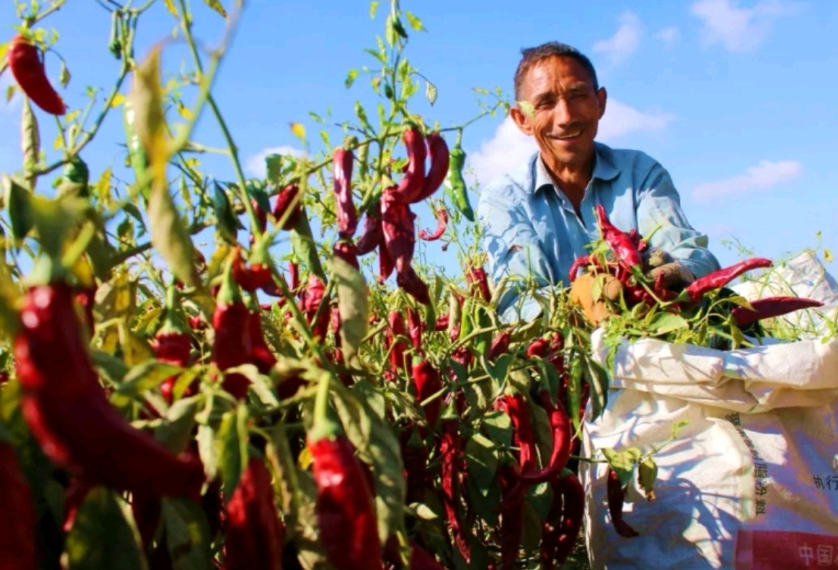 Screenshot_20260421_133702_com.xjmty.wdbz_edit_52079239335281