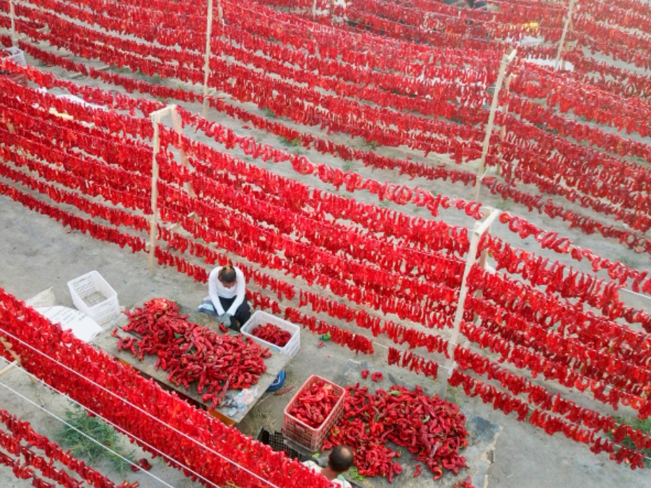 Screenshot_20260421_133956_com.xjmty.wdbz_edit_52060788669659