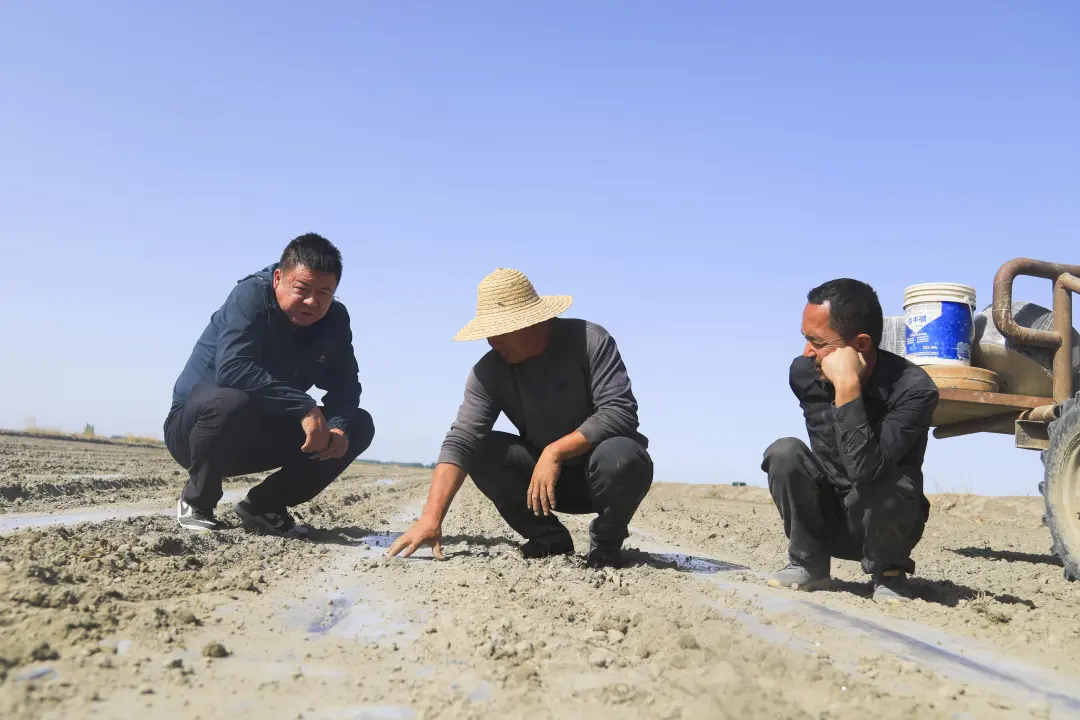 mmexport1777538052635