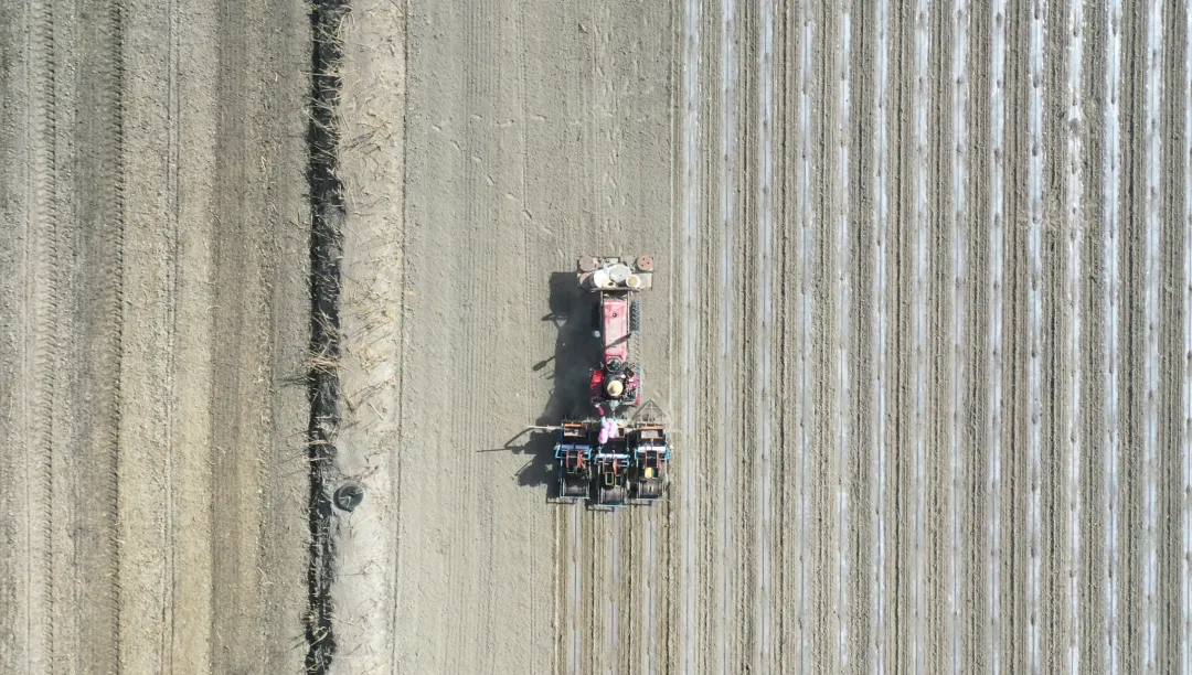 mmexport1777538060741