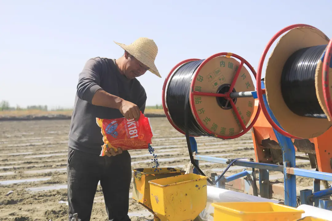 mmexport1777538077863