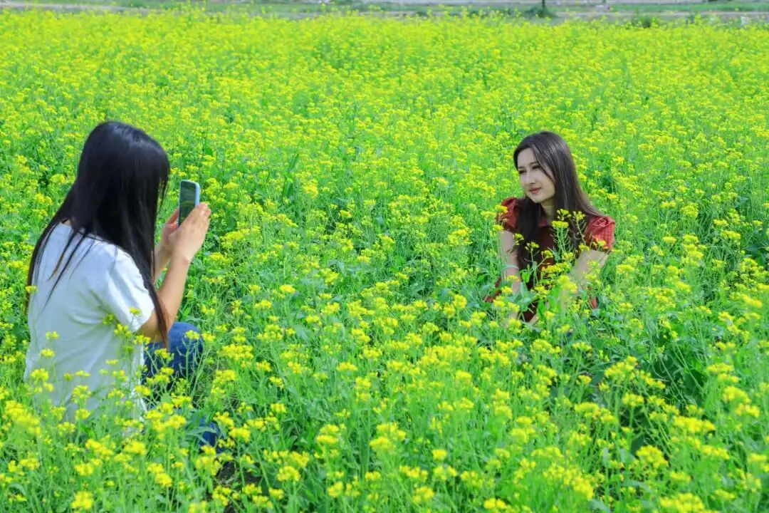 mmexport1777538799596