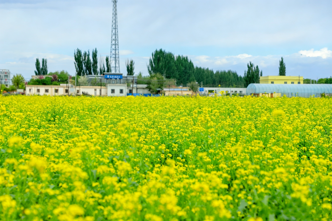 mmexport1777538803348