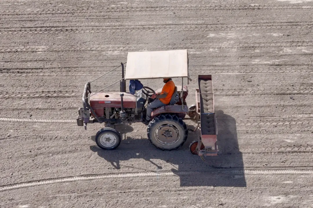 mmexport1777538254259