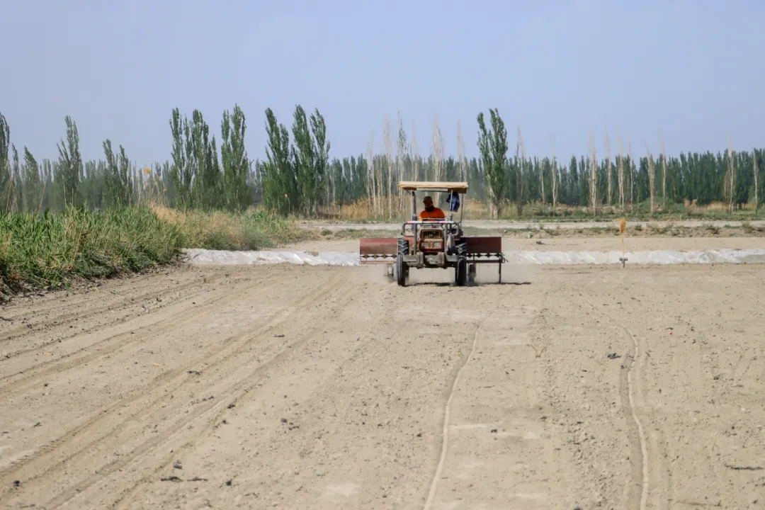 mmexport1777538229400