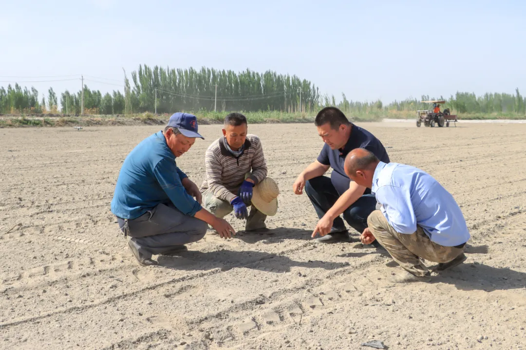 mmexport1777538222447