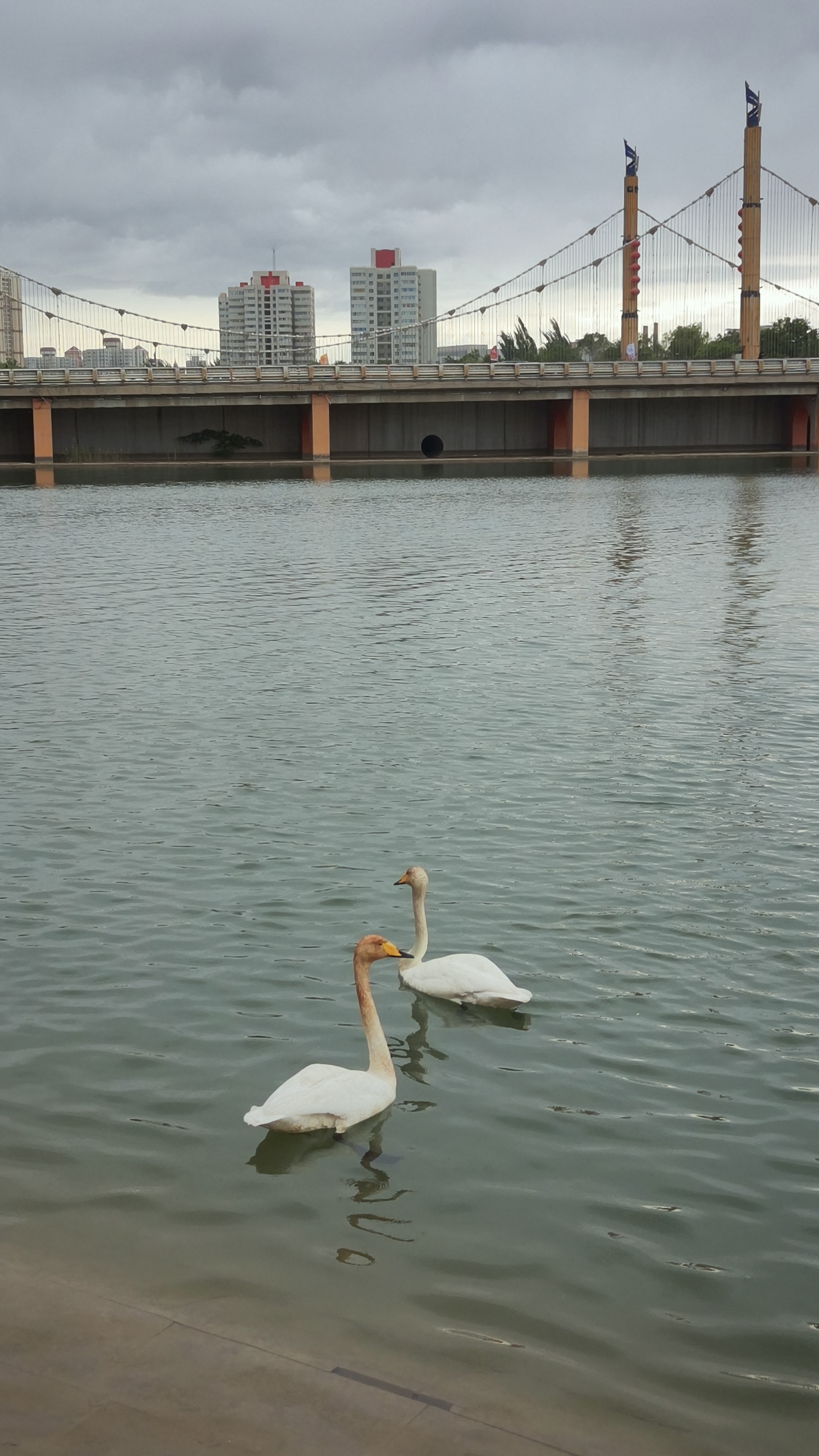 IMG20260513103110