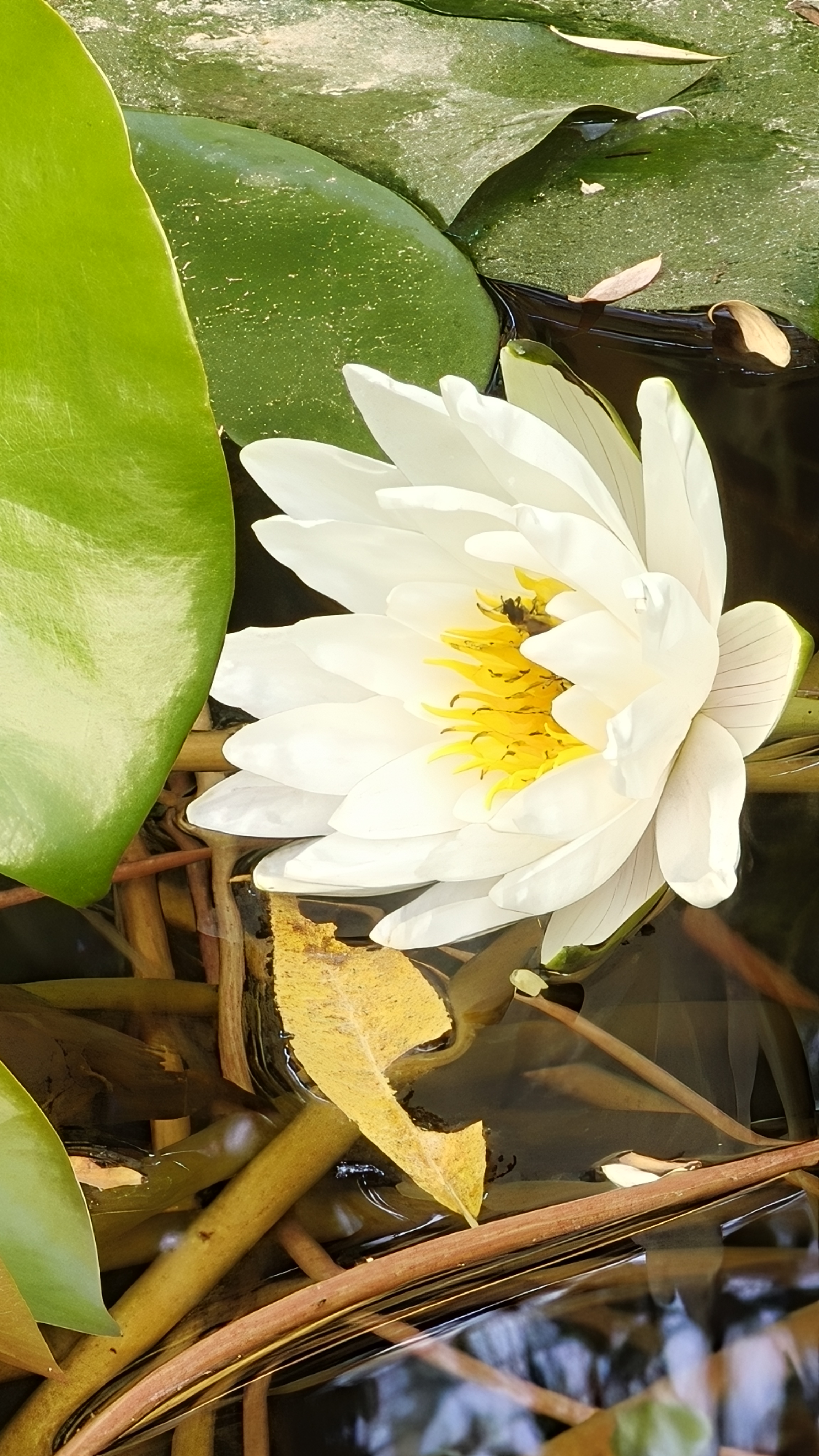 IMG20260602084845