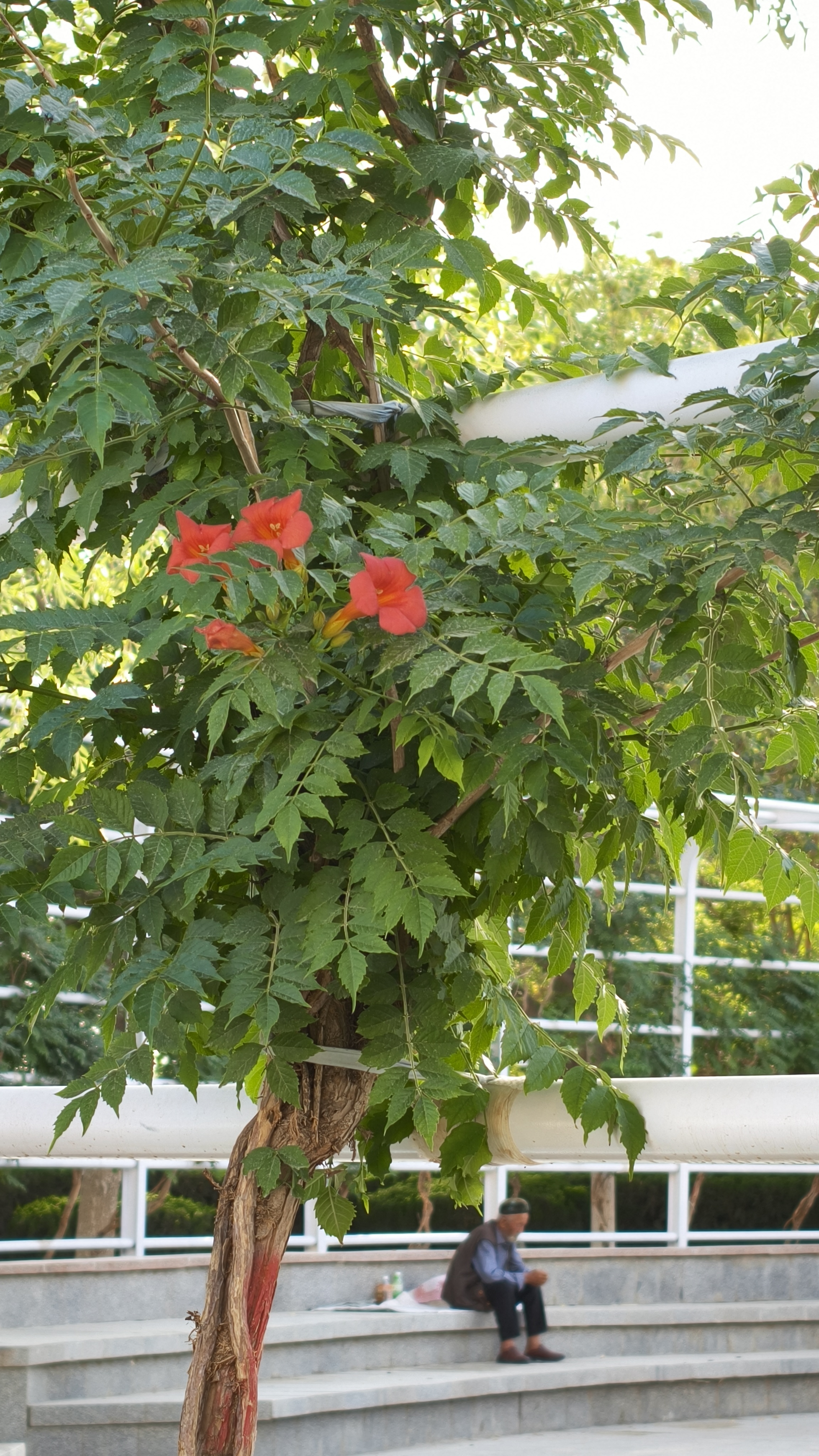 IMG20260608195514