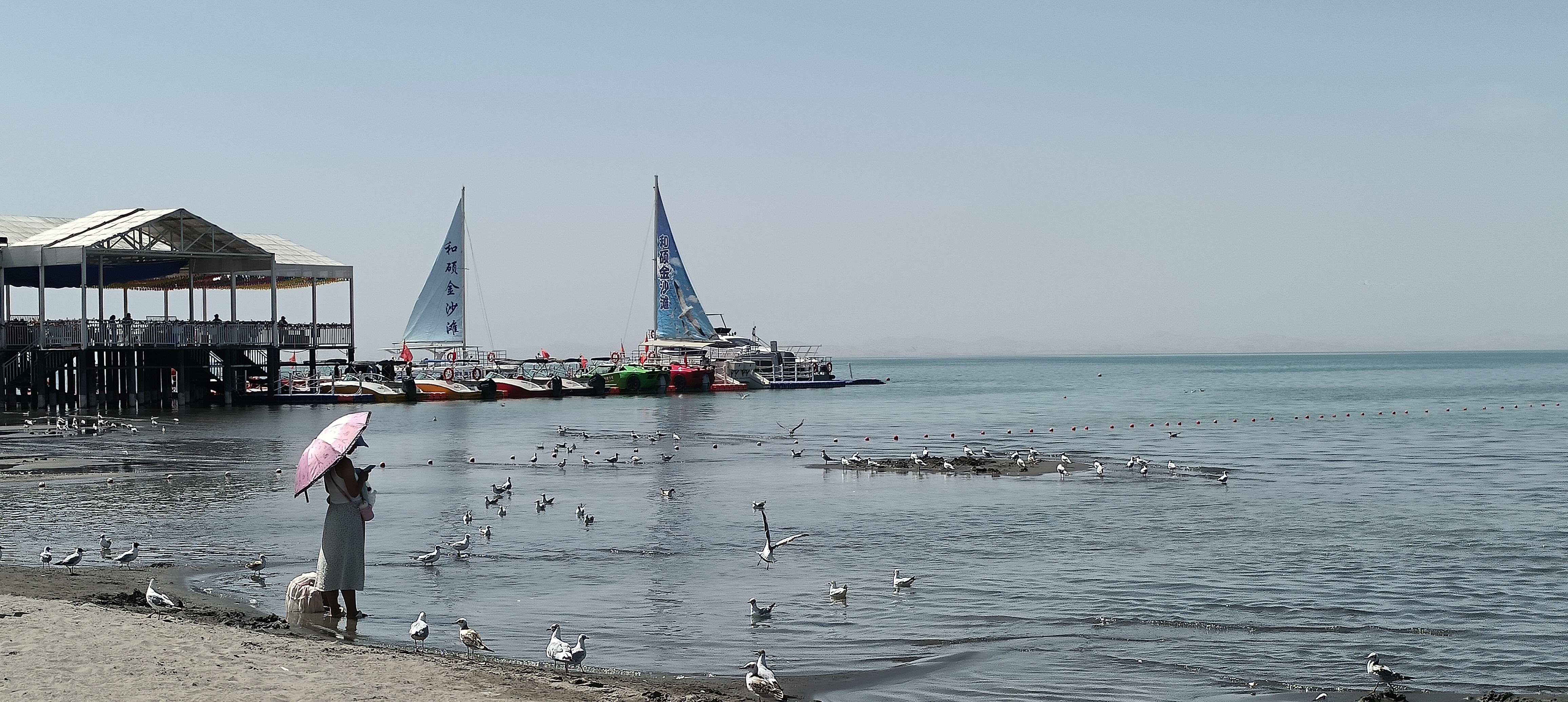 IMG20260712122018