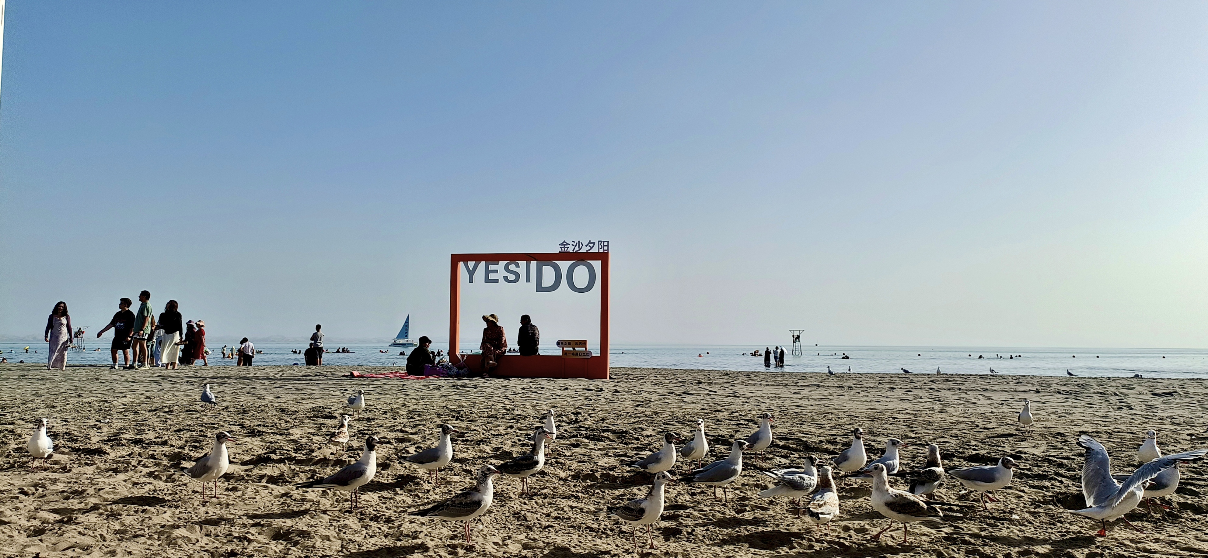 IMG_20260714_114614